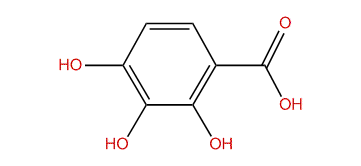 2,3,4-Trihydroxybenzoic acid